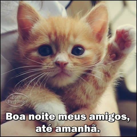 Boa noite meus amigos