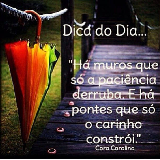 Há muros que só a paciência derruba