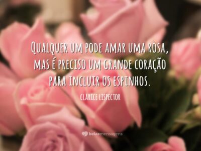 Qualquer um pode amar uma rosa