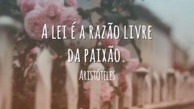 A lei é a razão livre da paixão.