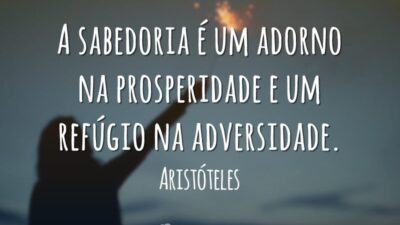 A sabedoria é um adorno na prosperidade e um refúgio na adversidade.