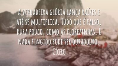 Frases de Falsidade 8073