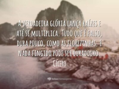 Frases de Falsidade 8073