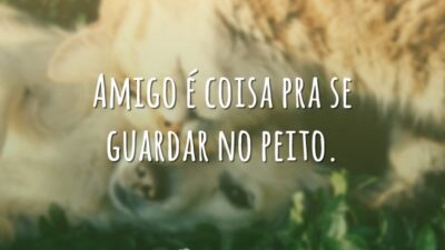 Frases de Amigos 3427