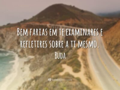 Frases de Sabedoria 7388