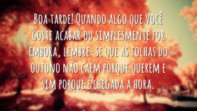 Boa tarde! Quando algo que você goste acabar ou simplesmente for embora,&hellip;