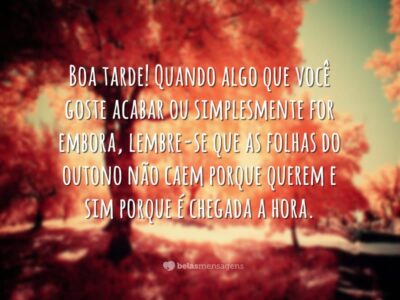 Frases de Boa Tarde 9200