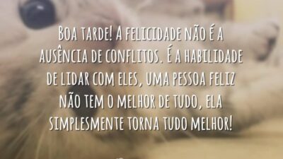 Boa tarde! A felicidade não é a ausência de conflitos. É a&hellip;