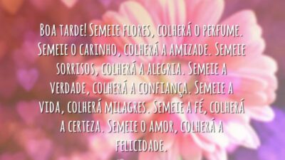 Boa tarde! Semeie flores, colherá o perfume. Semeie o carinho, colherá a&hellip;