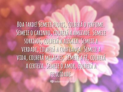 Frases de Boa Tarde 9213