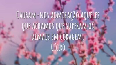 Causam-nos admiração aqueles que achamos que superam os demais em coragem.