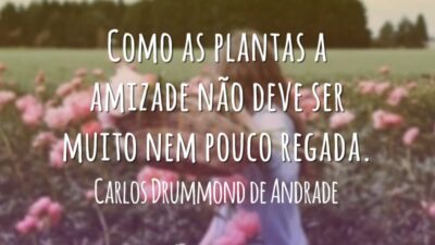 Frases de Amizade 8649