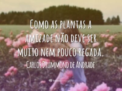 Frases de Amizade 8649