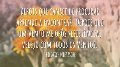 Depois que cansei de procurar aprendi a encontrar. Depois que um vento&hellip;