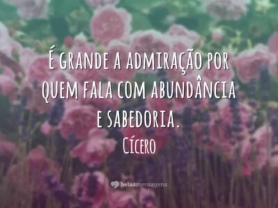 Frases sobre Admiração 8094