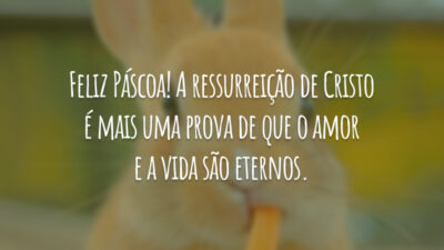 Feliz Páscoa! A ressurreição de Cristo é mais uma prova de que&hellip;
