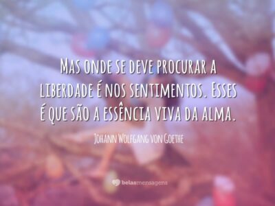 Frases de Liberdade 6933