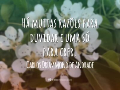 Frases de Confiança 6091