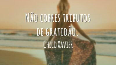 Frases de Obrigado 10516