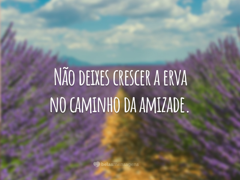 Frases de Amizade 8616