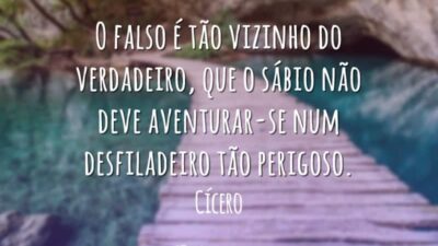 Frases de Falsidade 8077
