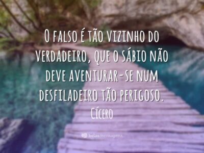 Frases de Falsidade 8077