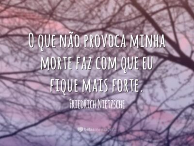 Frases sobre Adversidade 8158