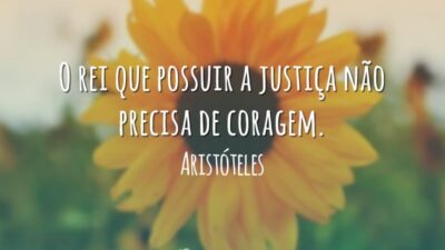 O rei que possuir a justiça não precisa de coragem.