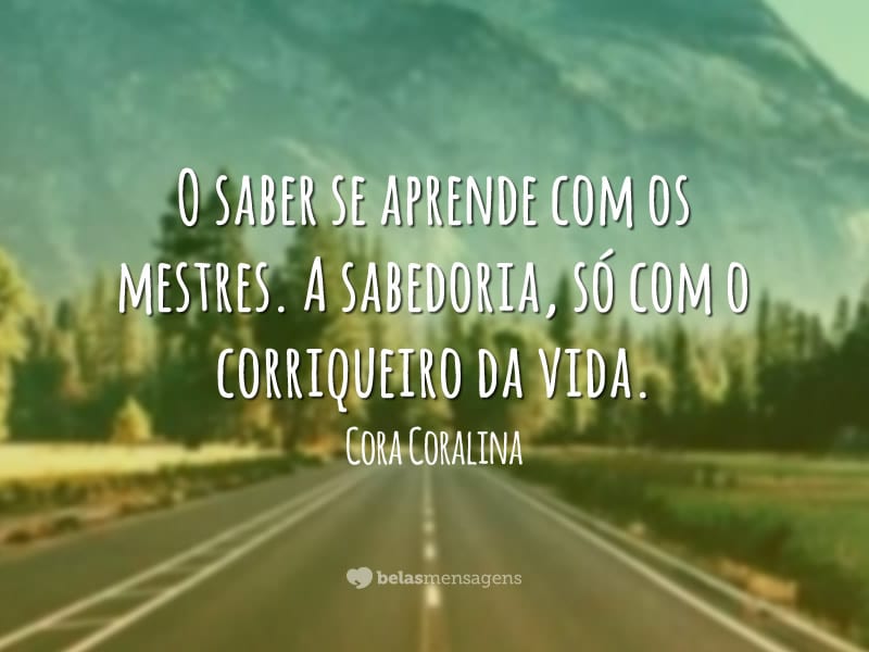 Frases de Sabedoria 7360