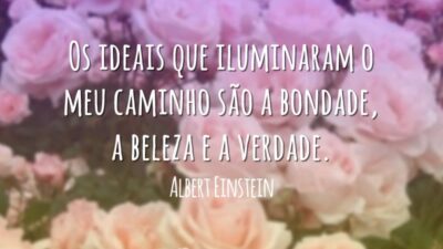 Frases sobre Vaidade 7906