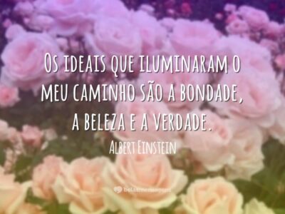 Frases sobre Vaidade 7906