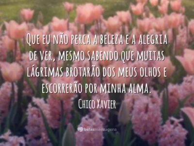 Frases sobre Vaidade 7923