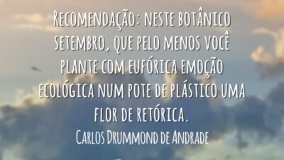 Frases Ecológicas 9507