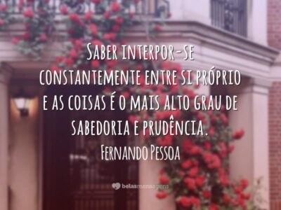 Frases de Sabedoria 7382