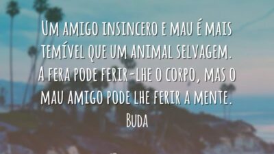 Frases de Sabedoria 7367