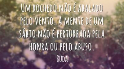 Frases de Sabedoria 7386