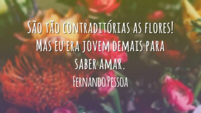 São tão contraditórias as flores! Mas eu era jovem demais para saber&hellip;