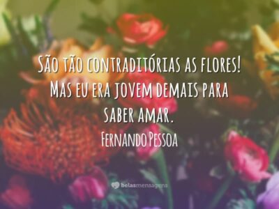 Frases sobre Noivado 4583