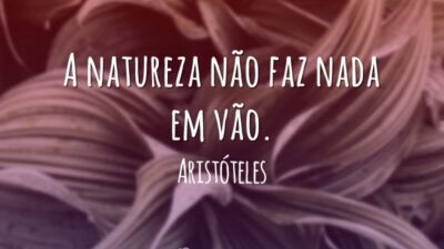 A natureza não faz nada em vão.
