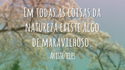 Em todas as coisas da natureza existe algo de maravilhoso.