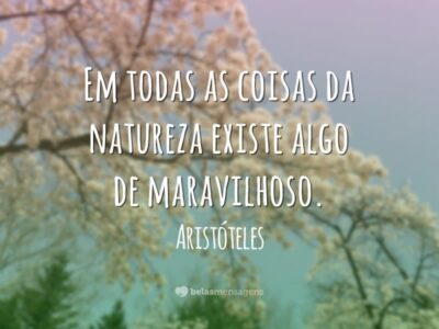 Frases sobre Meio Ambiente 2219