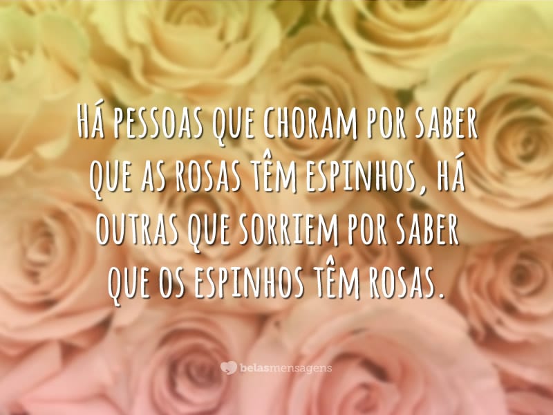 Frases Inteligentes 532