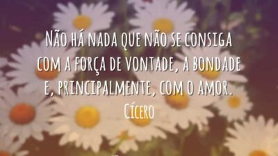Frases para Conquistar 2771