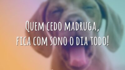 Quem cedo madruga, fica com sono o dia todo!