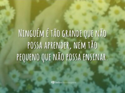 Frases Dia Do Professor Belas Mensagens