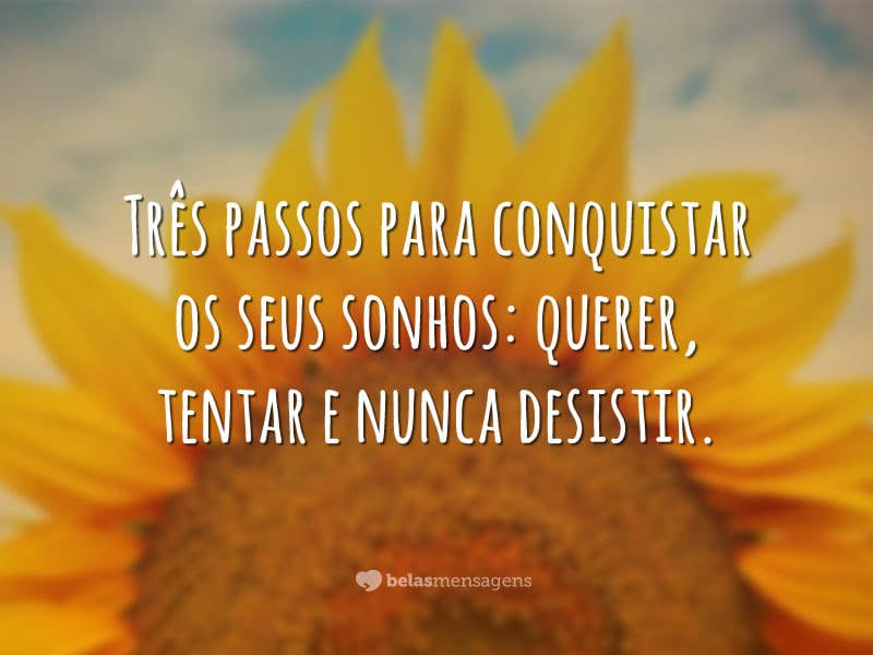 Frases de Reflexão 9774