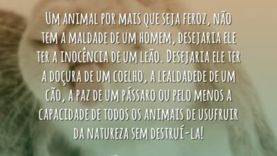 Animal