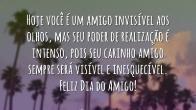 Declaração de amizade