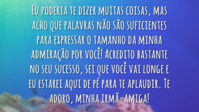 Minha irmã-amiga