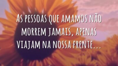 Lenços para lágrimas da saudade